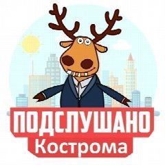 Канал Подслушано Кострома в мессенджере MAX — 1 219 подписчиков