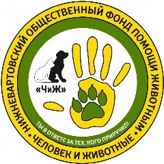 Канал Фонд помощи БЕЗДОМНЫМ животным ЧиЖ в мессенджере MAX — 176 подписчиков