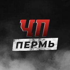 Канал ЧП ПЕРМЬ в мессенджере MAX — 225 479 подписчиков