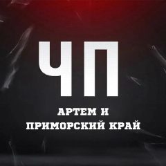 Канал ЧП Артём l Новости Артема и Приморья в мессенджере MAX — 8 218 подписчиков