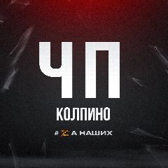 Канал ЧП Колпино в мессенджере MAX — 1 510 подписчиков