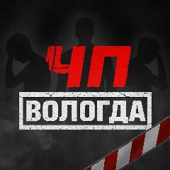 Канал ЧП Вологда в мессенджере MAX — 1 304 подписчика