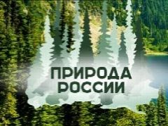 Канал Природа россии | Красоты россии | Фотографии природы | Пейзажи России в мессенджере MAX — 570 подписчиков