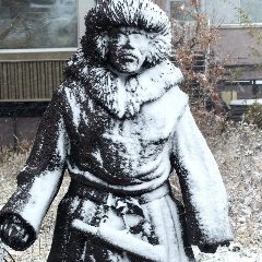 Канал Жизнь на Чукотке в мессенджере MAX — 1 272 подписчика