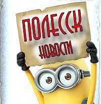Канал ПОЛЕССК в мессенджере MAX — 1 017 подписчиков