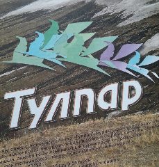 Канал Тулпар журналы каналы в мессенджере MAX — 777 подписчиков