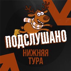 Канал Подслушано Нижняя Тура в мессенджере MAX — 30 подписчиков