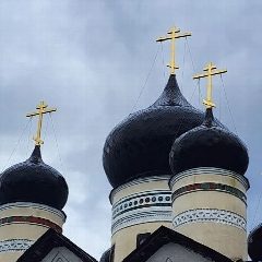Канал Свято-Троицкий зеленецкий мужской монастырь в мессенджере MAX — 746 подписчиков
