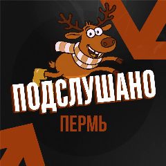 Канал Подслушано Пермь в мессенджере MAX — 19 подписчиков