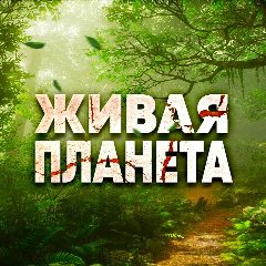 Канал Живая планета в мессенджере MAX — 16 подписчиков