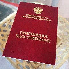 Канал Деятельные Пенсионеры! в мессенджере MAX — 1 683 подписчика