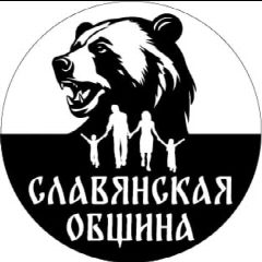Канал Славянская Община Новости в мессенджере MAX — 3 533 подписчика