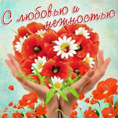 Канал Красивые открытки в мессенджере MAX — 8 062 подписчика