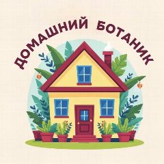 Канал Домашний ботаник в мессенджере MAX — 1 812 подписчиков