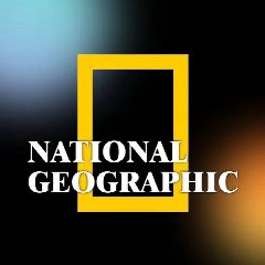 Канал National Geographic в мессенджере MAX — 63 417 подписчиков