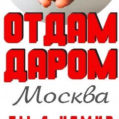 Канал Отдам даром Москва в мессенджере MAX — 4 823 подписчика