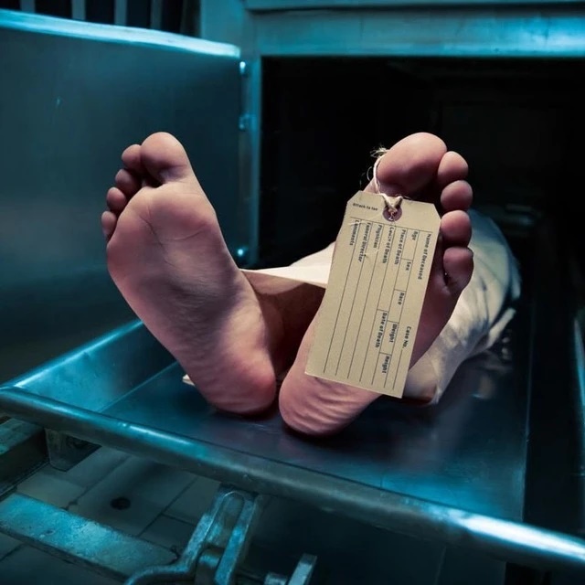 Канал Блог из морга в мессенджере MAX — 4 745 подписчиков