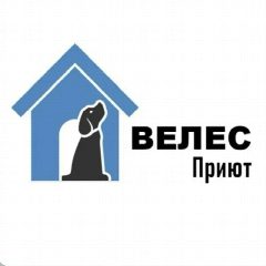 Канал Приют "Велес" в мессенджере MAX — 131 подписчик