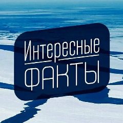 Канал Интересные факты в мессенджере MAX — 43 подписчика