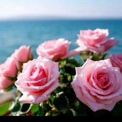 Канал 🌺ОТКРЫТКИ НА ЛЮБОЙ ВКУС🌺 в мессенджере MAX — 7 154 подписчика