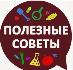 Канал Полезные советы|лайфхаки|здоровье в мессенджере MAX — 833 подписчика