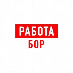 Канал Работа на Бору в мессенджере MAX — 1 195 подписчиков