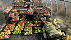 Канал 60 Соток в Сибири в мессенджере MAX — 5 692 подписчика