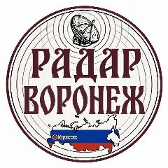 Канал Радар Воронеж в мессенджере MAX — 961 подписчик