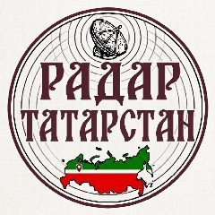 Канал Радар Татарстан в мессенджере MAX — 833 подписчика