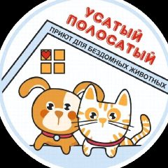 Канал "Усатый Полосатый" Приют для бездомных животных в мессенджере MAX — 179 подписчиков