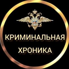 Канал КРИМИНАЛЬНАЯ ХРОНИКА в мессенджере MAX — 1 868 подписчиков