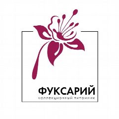 Канал Фуксарий в мессенджере MAX — 380 подписчиков