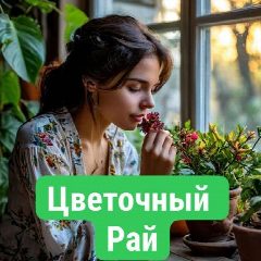 Канал Цветочный рай в мессенджере MAX — 2 644 подписчика