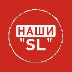 Канал Наши SL Сухой Лог в мессенджере MAX — 845 подписчиков