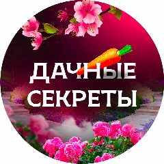 Канал Дачные секреты | Идеи и советы в мессенджере MAX — 958 подписчиков