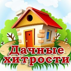Канал Дачные хитрости. Полезные советы в мессенджере MAX — 2 611 подписчиков