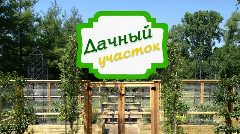 Канал Дачный участок - Цветы, огород, ландшафт в мессенджере MAX — 242 подписчика