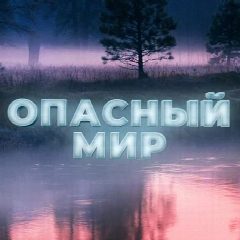 Канал Опасный Мир в мессенджере MAX — 2 790 подписчиков