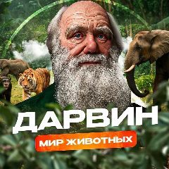 Канал Дарвин|Мир животных в мессенджере MAX — 270 подписчиков