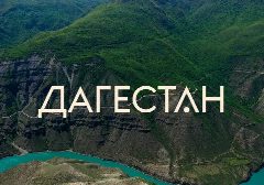 Канал Дагестан новости в мессенджере MAX — 6 252 подписчика