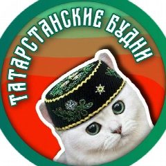 Канал Новости Татарстан | Казань | Бугульма | Чистополь | Арск в мессенджере MAX — 1 147 подписчиков
