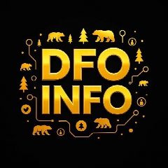 Канал DFO.INFO в мессенджере MAX — 7 032 подписчика