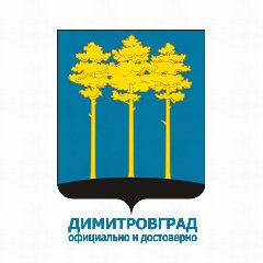 Канал Администрация Димитровграда в мессенджере MAX — 186 подписчиков