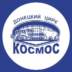 Канал Донецкий цирк "Космос" в мессенджере MAX — 388 подписчиков