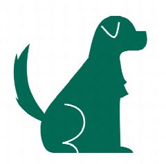 Канал DogBreeds в мессенджере MAX — 577 подписчиков