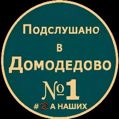 Канал Домодедово в мессенджере MAX — 8 299 подписчиков