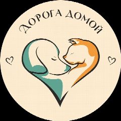 Канал Дорога Домой (г. Муром) в мессенджере MAX — 484 подписчика