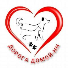 Канал ДОРОГА ДОМОЙ - Нижний Новгород( Поиск животных ) в мессенджере MAX — 245 подписчиков
