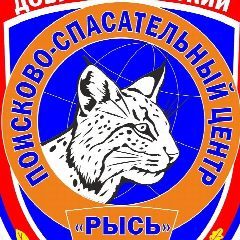 Канал Поисково-спасательный центр "РЫСЬ" в мессенджере MAX — 674 подписчика