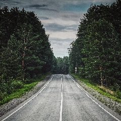 Канал Dreamland в мессенджере MAX — 10 подписчиков